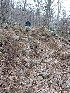 Hill